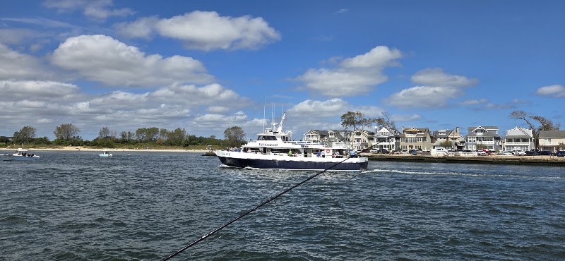Alex's Bait And Tackle, photo 2