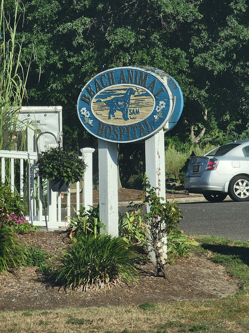 Beach Animal Hospital and Specialty Services, photo 2