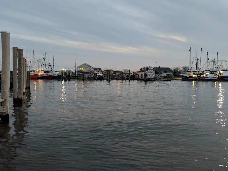 Captain Bill's Landing, photo 2
