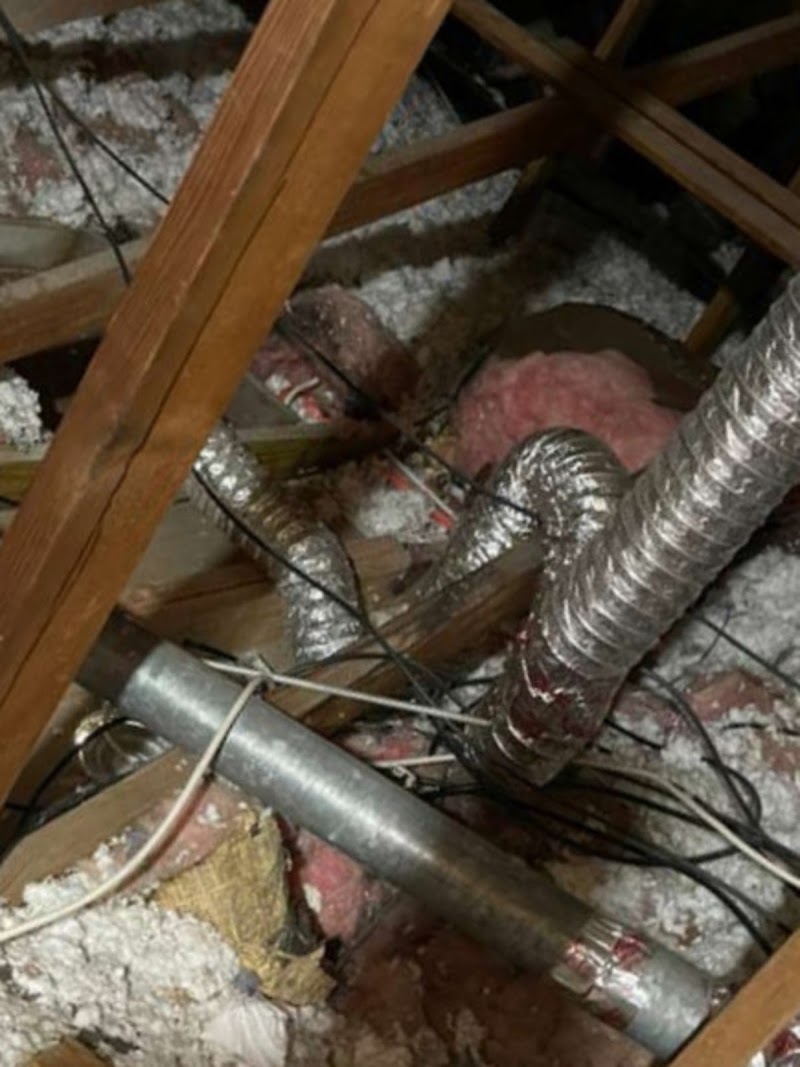 David Dryer Cleaning, photo 2