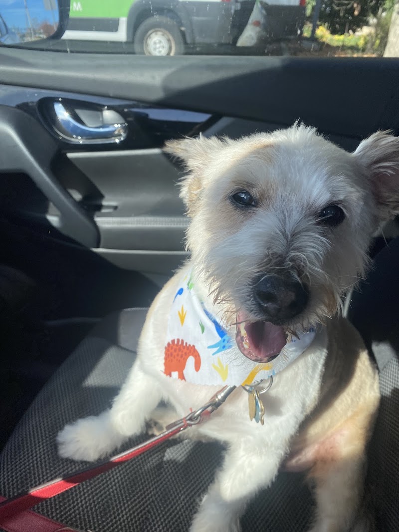 Kelly's Pet Grooming, photo 2