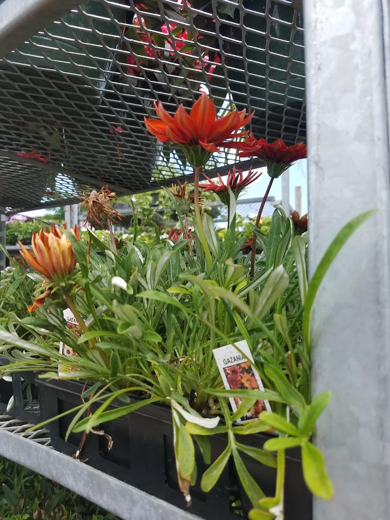 Nature's Reward Farm Market, photo 2