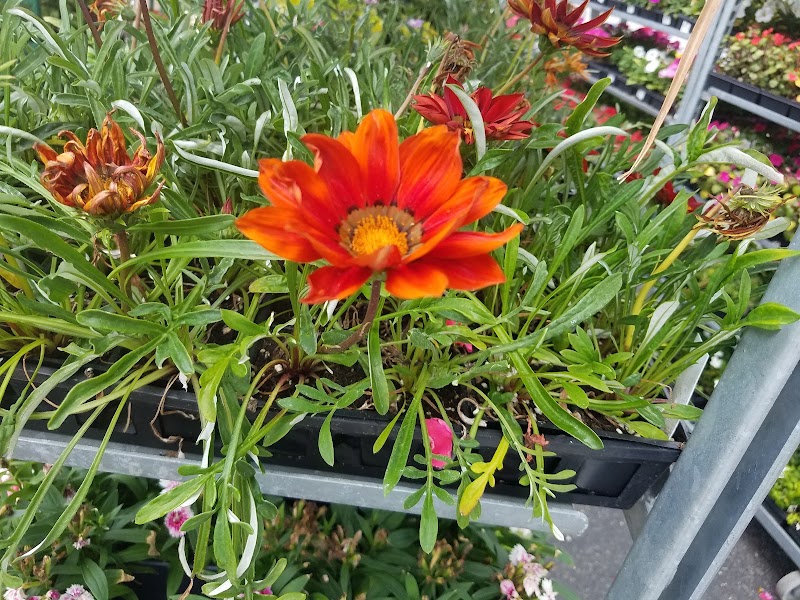 Nature's Reward Farm Market, photo 3