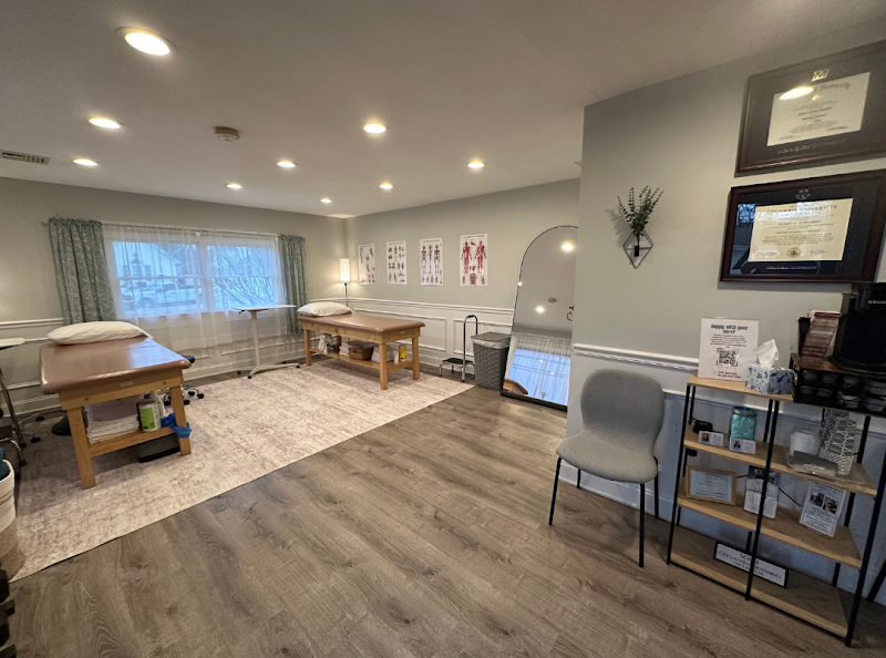 Next Level Physical Therapy & Wellness, photo 2