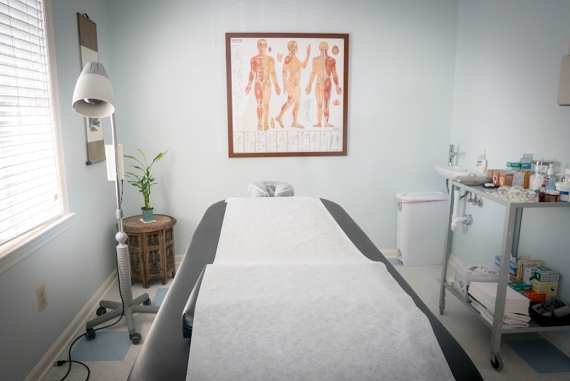 NorthEast Spine and Sports Medicine: Chiropractor & Physical Therapy, photo 2