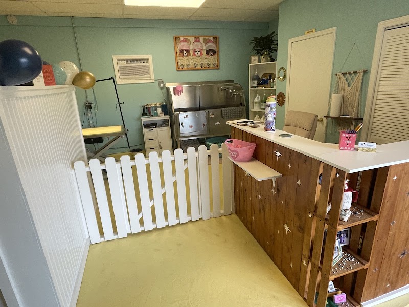 Over the Moon Dog Grooming, photo 3