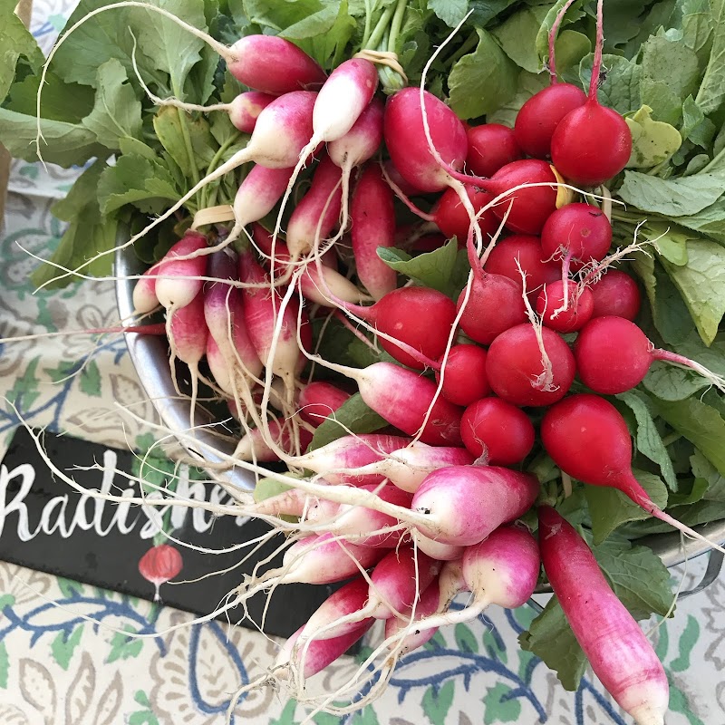 Point Pleasant Beach Farmers Market, photo 2