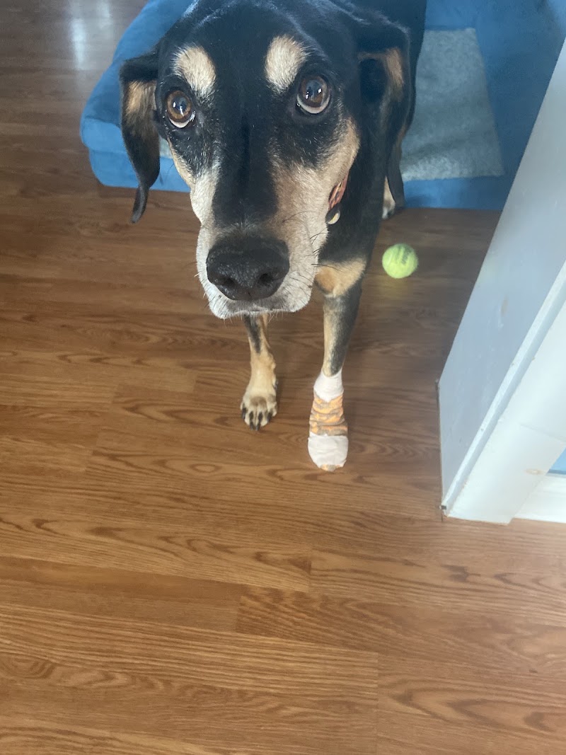Point Pleasant Veterinary Hospital, photo 2