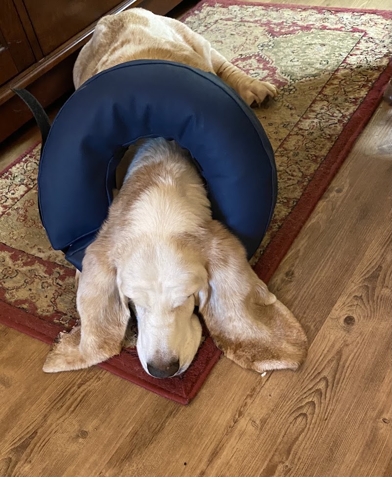 Point Pleasant Veterinary Hospital, photo 3
