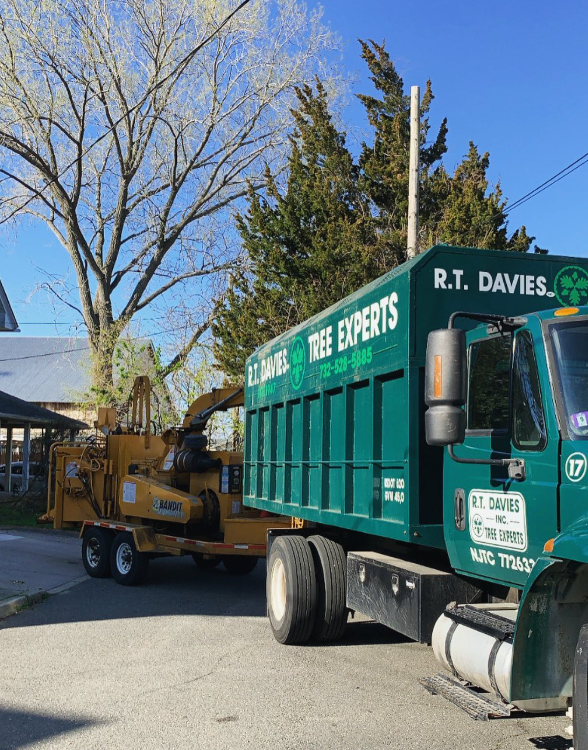 R.T. Davies Inc. Tree Experts, photo 3