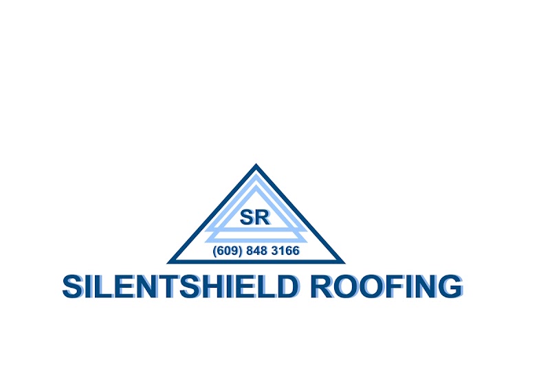 SilentShield Roofing, photo 3